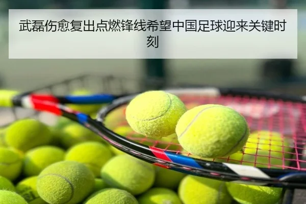 武磊伤愈复出点燃锋线希望中国足球迎来关键时刻