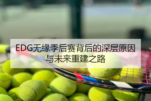 EDG无缘季后赛背后的深层原因与未来重建之路
